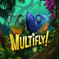 10122_Multifly!